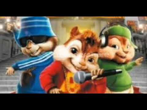 مهرجان فاتح بيبان اي عراك مرجعش خطوه بصوت السناجب مهرجان فاتح بيبان اي عراك مرجعش خطوه بصوت السناجب