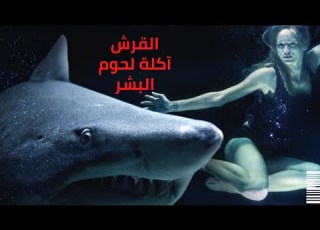 القرش آكلة لحوم البشر