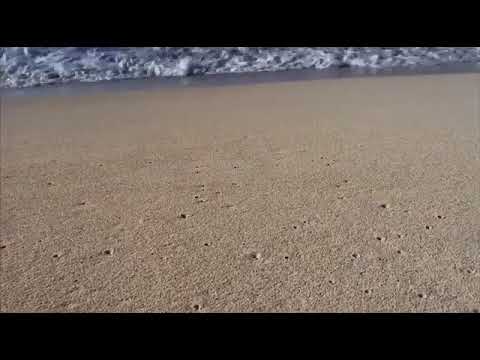 خليه يشوف بقى مين ابقى له دانا ياما عملت حساب زعله