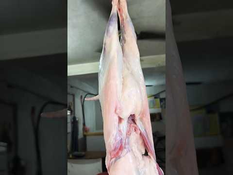 Asli Kaahi Maton Food Samir Samir House Chitwan Muser Matanlover