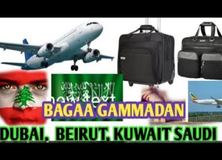 Oduu Haara Biyyotaa Araabaf Dubai Warren Deemuu Barbaddan Motummadhan Jalqabee