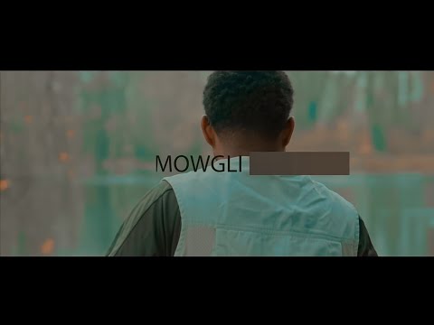 اشرف الطامة ماوكلي ARF Mowgli