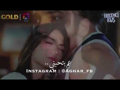 ما بيرضينى الحب العادى