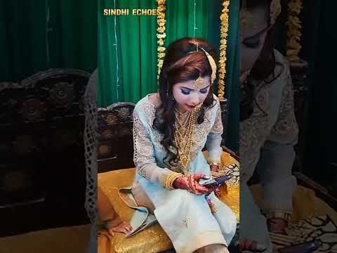 Sindhi Songs SINDH Music 2024