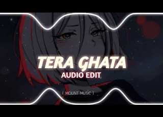  Gajendra Verma Tera Ghata Audio Edit