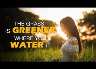  The Grass Is Greener Where You Water It By Jay Shetty