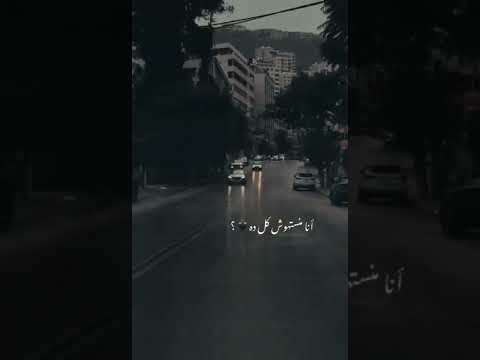 انا منستهوش كل ده تريند رائج