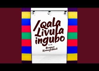 IQALA LIVULA INGUBO
