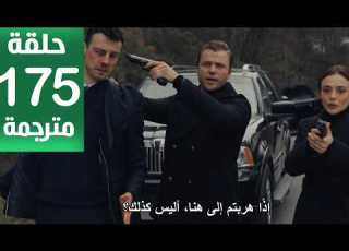 مسلسل المنظمة الحلقة 175 مترجمة كاملة HD جارى الترجمة