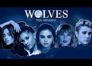  WOLVES THE MEGAMIX Feat Selena Gomez Ariana Grande Camila Cabello Justin Bieber MORE