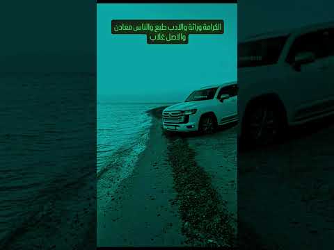 الكرامة وراثة والأدب طبع والناس معادن والاصل غلاب الكرامة وراثة والأدب طبع والناس معادن والاصل غلاب