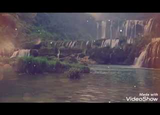  دع العلاقات تعبر أمامك طارق حامد
