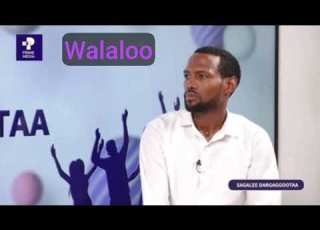 Guutamaa Mahaammad Walaloo Shamarran Oromiyaa Shaggooyyee