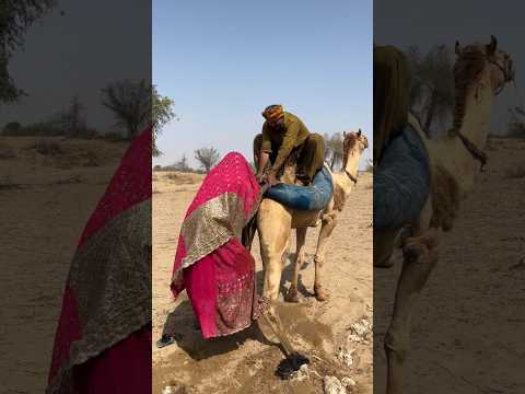 تركب الفتاة على الحصان ويمسكها الرجل بيده ويركبها