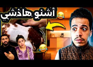طيبات دجاجة بي سنيذا ولموشكيل بريشها