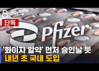 단독 화이자 알약 먼저 승인날 듯 다음 달 도입한다 SBS