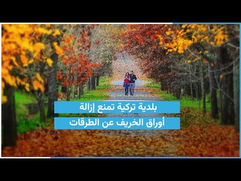 بلدية تركية تمنع إزالة أوراق الخريف عن الطرقات بلدية تركية تمنع إزالة أوراق الخريف عن الطرقات