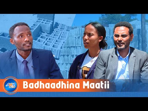 Carraaqqata Maatii Muuxannoo Fi Ogummaa Qindeessuun Lammiileef Carraa Hojii Uumaa Jiran