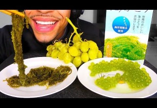 ASMR SEA GRAPE 바다포도 먹방 POPPING BOBA EXTREME CRUNCHY EATING SOUNDS NO TALKING JERRY 