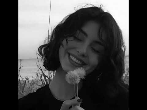 أغنية شيرين الوتر الحساس بدون موسيقى ملكة الإحساس Halal Song