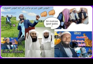 Shek Abdosh A Nashiidaa Yoomiyyuu Haarawaa 2019 Arrallee Jajjabaa Sii Mataa Gad Qabaa