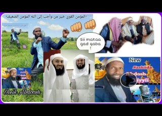 Shek Abdosh A Nashiidaa Yoomiyyuu Haarawaa 2019 Arrallee Jajjabaa Sii Mataa Gad Qabaa