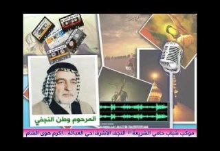 وطن النجفي بدموعي والاحزان هذا الامل ما چان