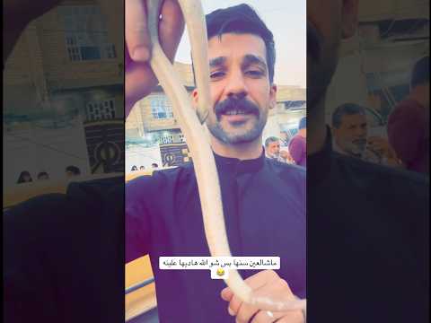 ازهر الناطق البير بيري وبيدي مايه