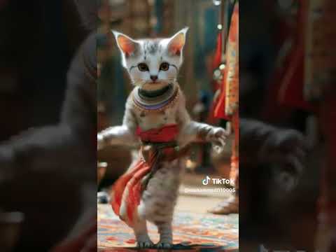 سليم سالم ياحته من قلبي