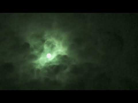 Abo El Anwar Msh Bshrb Official Visualizer ابو الانوار مش بشرب