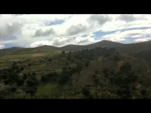 DJO Les Berbères Hamurth Umazigh