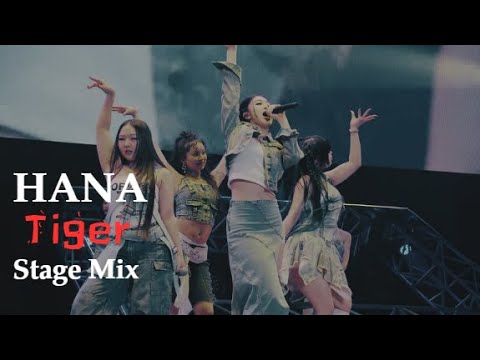 HANA TIGER Stage Mix
