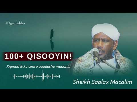 100 Qisooyin Xigmad Iyo Ku Cibro Qaadasho Mudan Sh Saalax Macalim