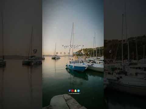 أنا قلبي وجعني يابا والشوق لوعني حالات واتس اغاني اكسبلور