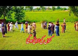 کتوں کی لڑائی ہوگی Dogs Fight Dogsfight