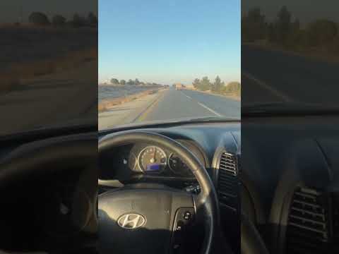 حرام علسيه وليد السية