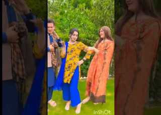 Gull Khan Vines TUTI GUL Vines Funny Videos Pashto New Song 2025 Yamee Ptan Charsadda Vines