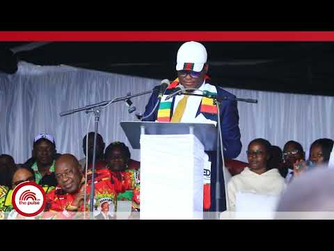 Mutsvangwa Unterstützt Tungwarara