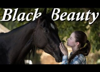 Everything Wrong With Black Beauty 2020 In 16 Minutes Or Less Pinehaven