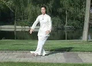 邱慧芳精講42式太極拳 19 33