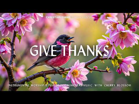 GIVE THANKS Soothing Worship Piano Inspiring Bible Verses With Beautiful Spring Cherry Blossom