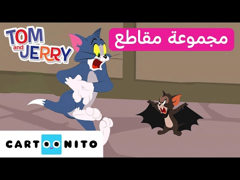توم وجيري ليلة الرعب كارتونيتو