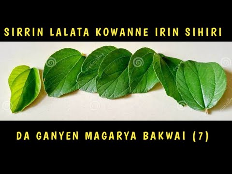 Sirrin Lalata Kowanne Irin Sihiri