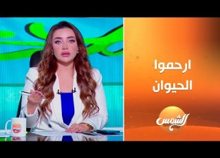  د هبه يوسف الكلاب الضاله ظاهره خطيره تطارد الاطفال في الشوارع و يحب تدخل جهات الدولة