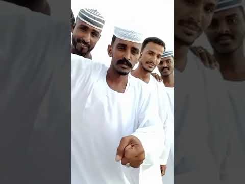 الشاعر محمد الطيب الكباشي