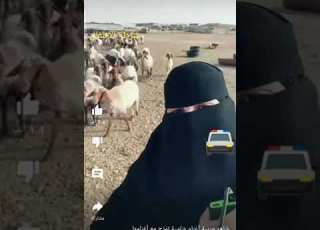  شرطة الاطفال و النغمات راعية الغنم Shorts