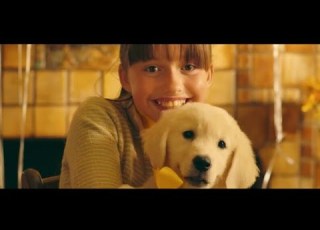 Marshmello Ft Bastille Happiyer Official Music Video