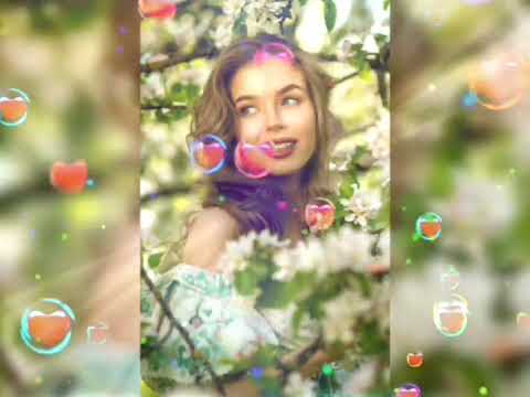 Яблуні білі 2025 Василь Котович