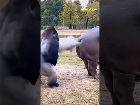 What A Messy Powerful Mess