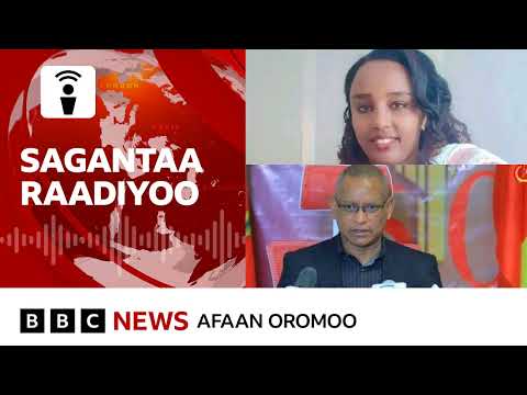 Hojjettuun Baankii Sandaafaatti Akkamiin Ajeefamte BBC News Afaan Oromoo